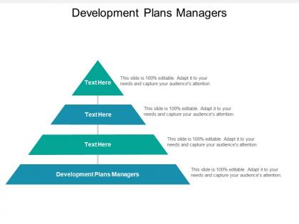 Development plans managers ppt powerpoint presentation outline ideas cpb