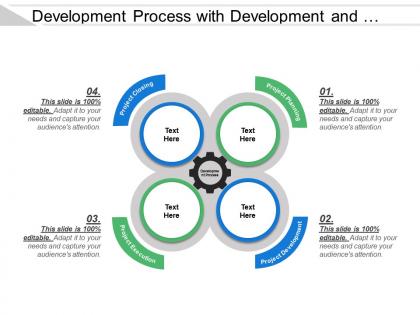 Development process with development and execution