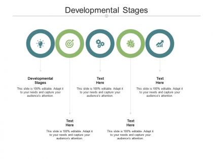 Developmental stages ppt powerpoint presentation icon grid cpb