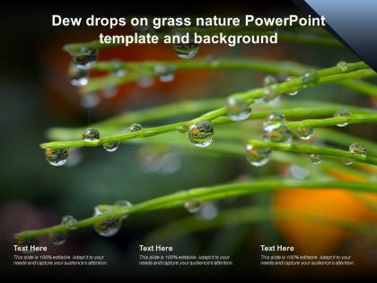 Dew drops on grass nature powerpoint template and background