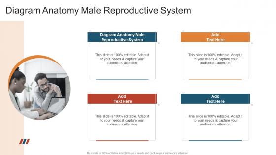 Diagram Anatomy Male Reproductive System In Powerpoint And Google Slides Cpb