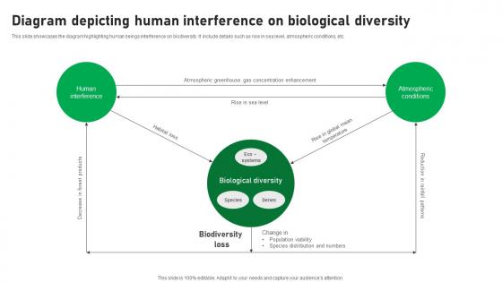 Diagram Depicting Human Interference On Biological Diversity