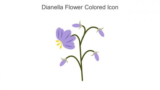 Dianella Flower Colored Icon In Powerpoint Pptx Png And Editable Eps Format