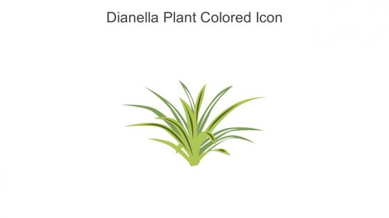 Dianella Plant Colored Icon In Powerpoint Pptx Png And Editable Eps Format