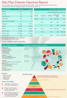 Diet plan patients handout report presentation report infographic ppt pdf document
