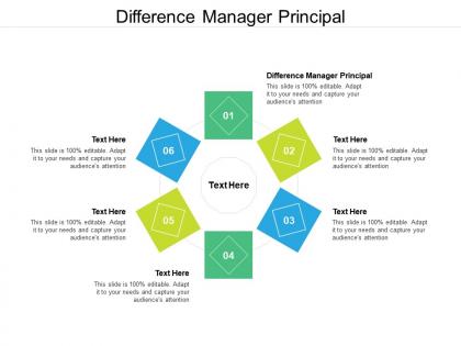 Difference manager principal ppt powerpoint presentation icon gallery cpb