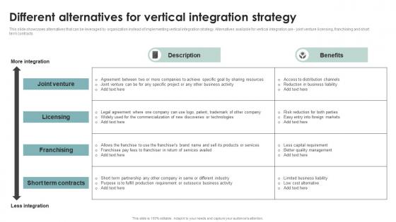 Different Alternatives Business Diversification Through Different Integration Strategies Strategy SS V
