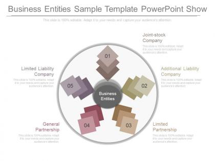 Different business entities sample template powerpoint show
