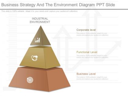 Different business strategy and the environment diagram ppt slide