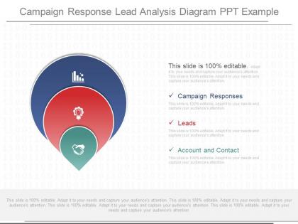 Different campaign response lead analysis diagram ppt example