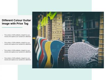 Different colour guitar image with price tag