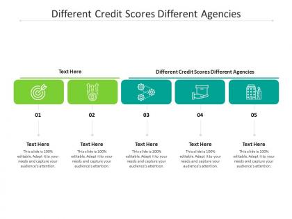 Different credit scores different agencies ppt powerpoint presentation slides layouts cpb