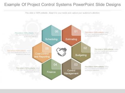 Different example of project control systems powerpoint slide designs