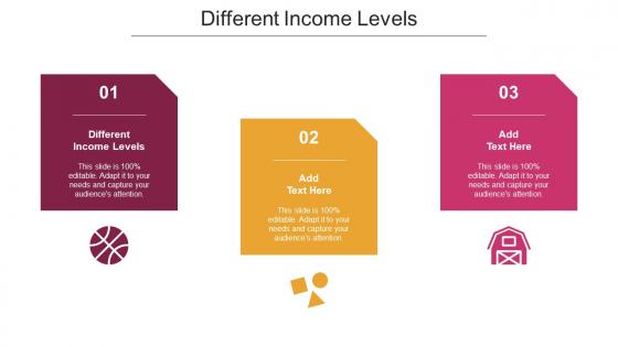 Different Income Levels Ppt Powerpoint Presentation Ideas Master Slide Cpb