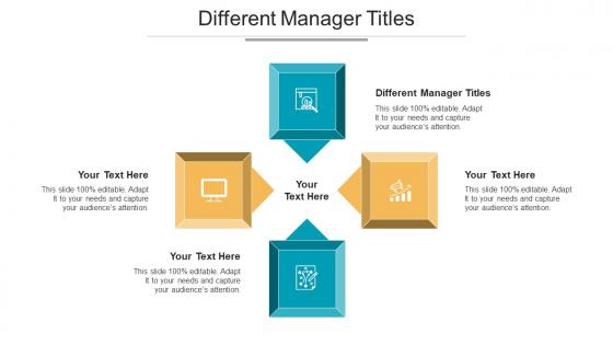 Different Manager Titles Ppt Powerpoint Presentation Pictures Shapes Cpb