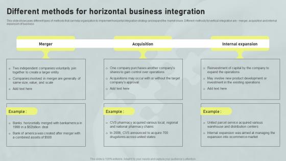 Different Methods For Horizontal Business Horizontal And Vertical Integration Strategy SS V