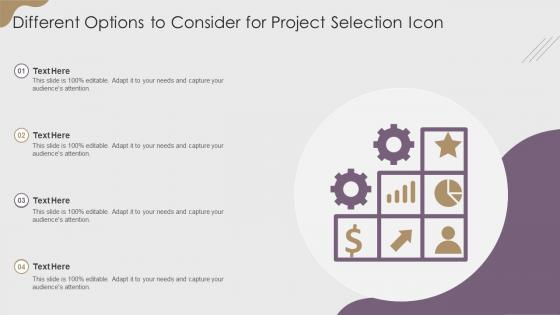 Different Options To Consider For Project Selection Icon