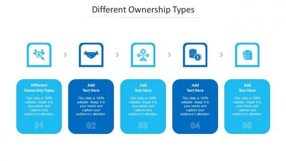 Different Ownership Types Ppt Powerpoint Presentation Show Visuals Cpb