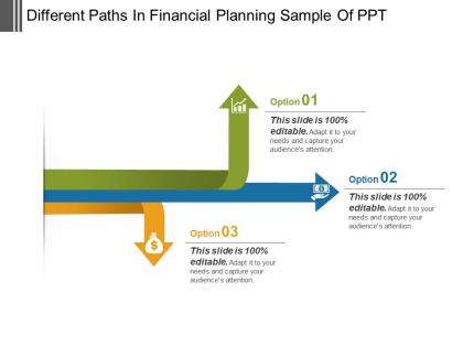 Different paths in financial planning sample of ppt