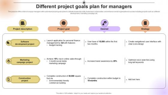 Different Project Goals Plan For Managers