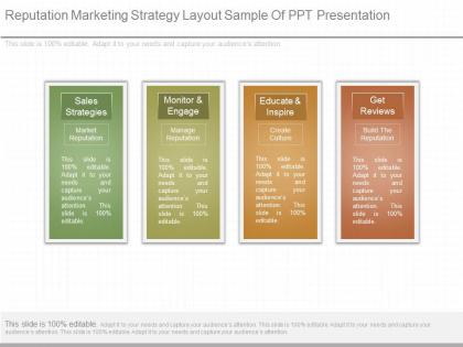 Different reputation marketing strategy layout sample of ppt presentation