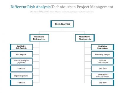 Different risk analysis techniques in project management