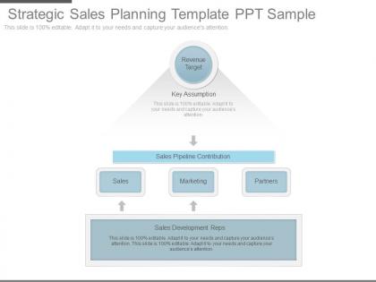 Different strategic sales planning template ppt sample