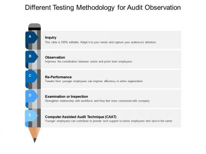 Different testing methodology for audit observation