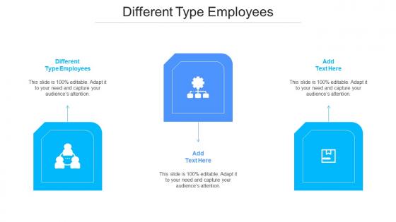 Different Type Employees Ppt Powerpoint Presentation Professional Graphics Pictures Cpb