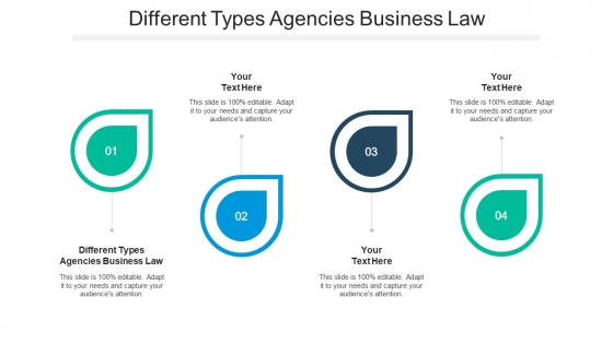 Different types agencies business law ppt infographic template graphics pictures cpb
