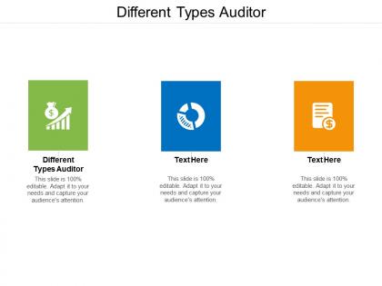 Different types auditor ppt powerpoint presentation icon example file cpb
