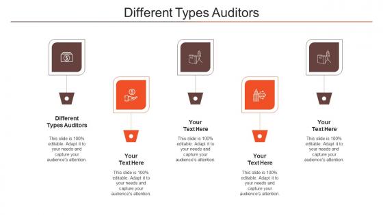 Different Types Auditors Ppt Powerpoint Presentation Model Portrait Cpb
