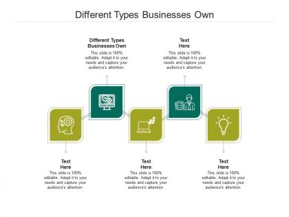 Different types businesses own ppt powerpoint presentation professional clipart cpb