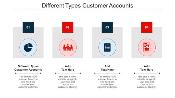Different Types Customer Accounts Ppt Powerpoint Presentation Portfolio Cpb