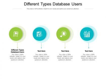 Different types database users ppt powerpoint presentation file maker cpb