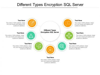 Different types encryption sql server ppt powerpoint presentation ideas samples cpb