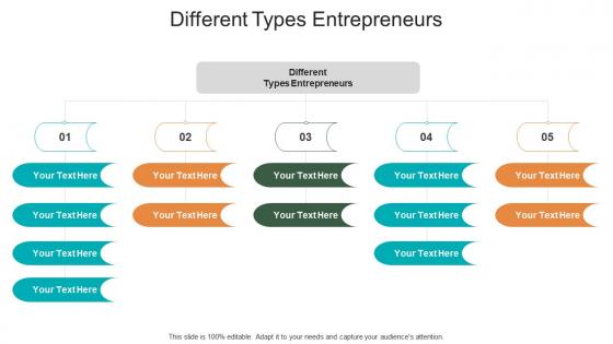 Different types entrepreneurs ppt powerpoint presentation background images cpb