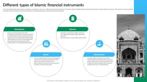 Different Types Of Islamic Financial Instruments Shariah Based Banking Ppt Introduction Fin SS V