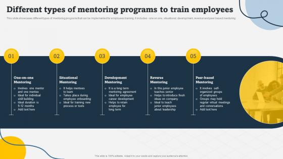 Different Types Of Mentoring Programs To Train Employees On Job Employee Training Program
