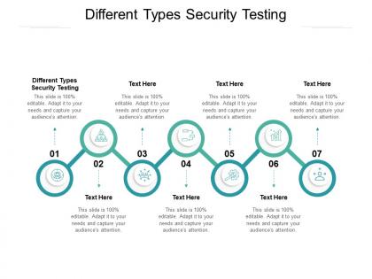 Different types security testing ppt powerpoint presentation professional design ideas cpb