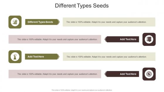 Different Types Seeds In Powerpoint And Google Slides Cpb