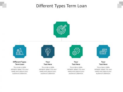 Different types term loan ppt powerpoint presentation infographics graphics design cpb