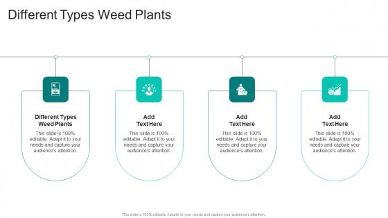 Different Types Weed Plants In Powerpoint And Google Slides Cpb