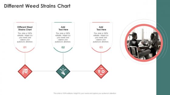 Different Weed Strains Chart In Powerpoint And Google Slides Cpb
