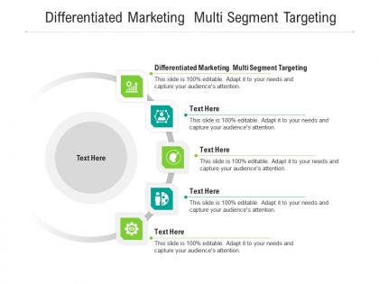 Differentiated marketing multi segment targeting ppt powerpoint presentation show cpb
