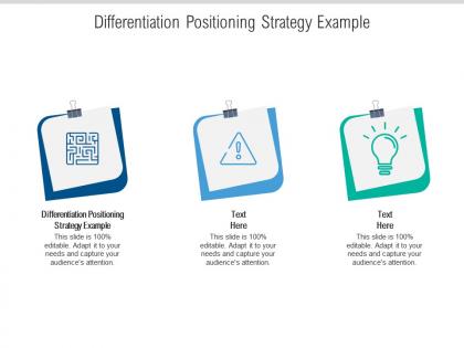 Differentiation positioning strategy example ppt powerpoint presentation show vector cpb