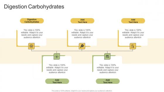 Digestion Carbohydrates In Powerpoint And Google Slides Cpb