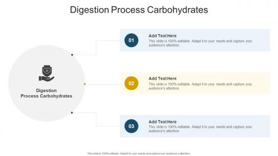 Digestion Process Carbohydrates In Powerpoint And Google Slides Cpb