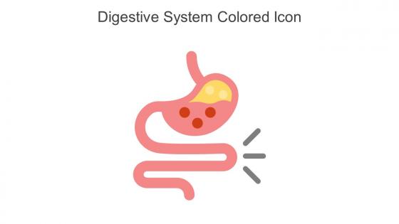 Digestive System Colored Icon In Powerpoint Pptx Png And Editable Eps Format