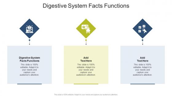Digestive System Facts Functions In Powerpoint And Google Slides Cpb